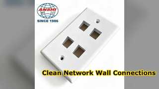 ANSHI US Standard Wall Mount Face Plate for Network Setup