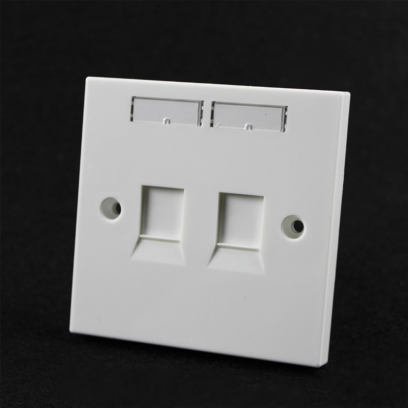 White Color RJ45 2 Port SGS Network Cable Faceplate
